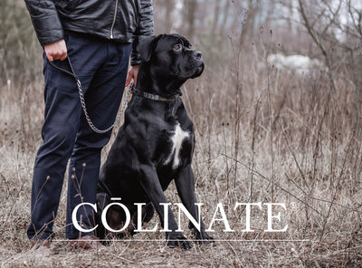 大型犬のための訓練用品店「COLINATE」さんでのお取り扱いがスタートしました！