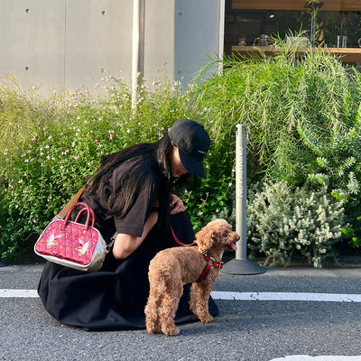 動画で紹介！お散歩に便利な刺繍SUKA BAG！