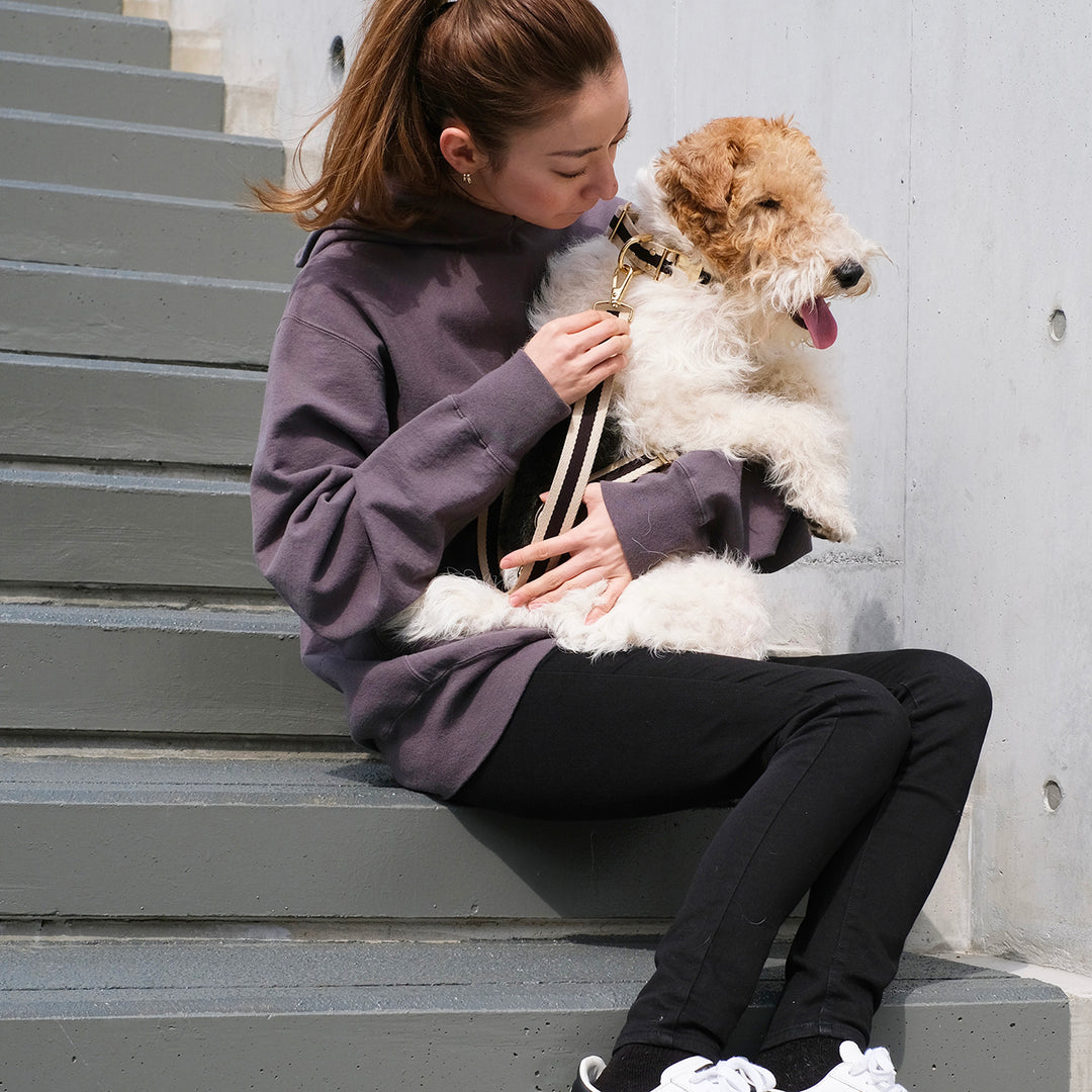いぬ HOSU ストライプドッグカラー(30mm)/フレンチ – NAKAMEGURO RIVERSIDE