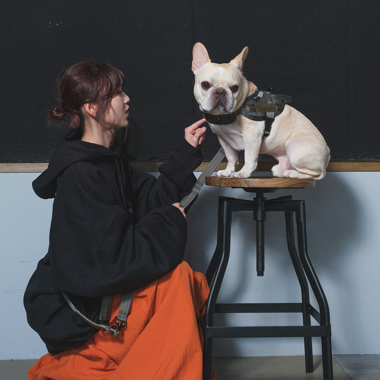 HARVEST LABEL ミリタリードッグハーネス(中型犬用)/ブラック