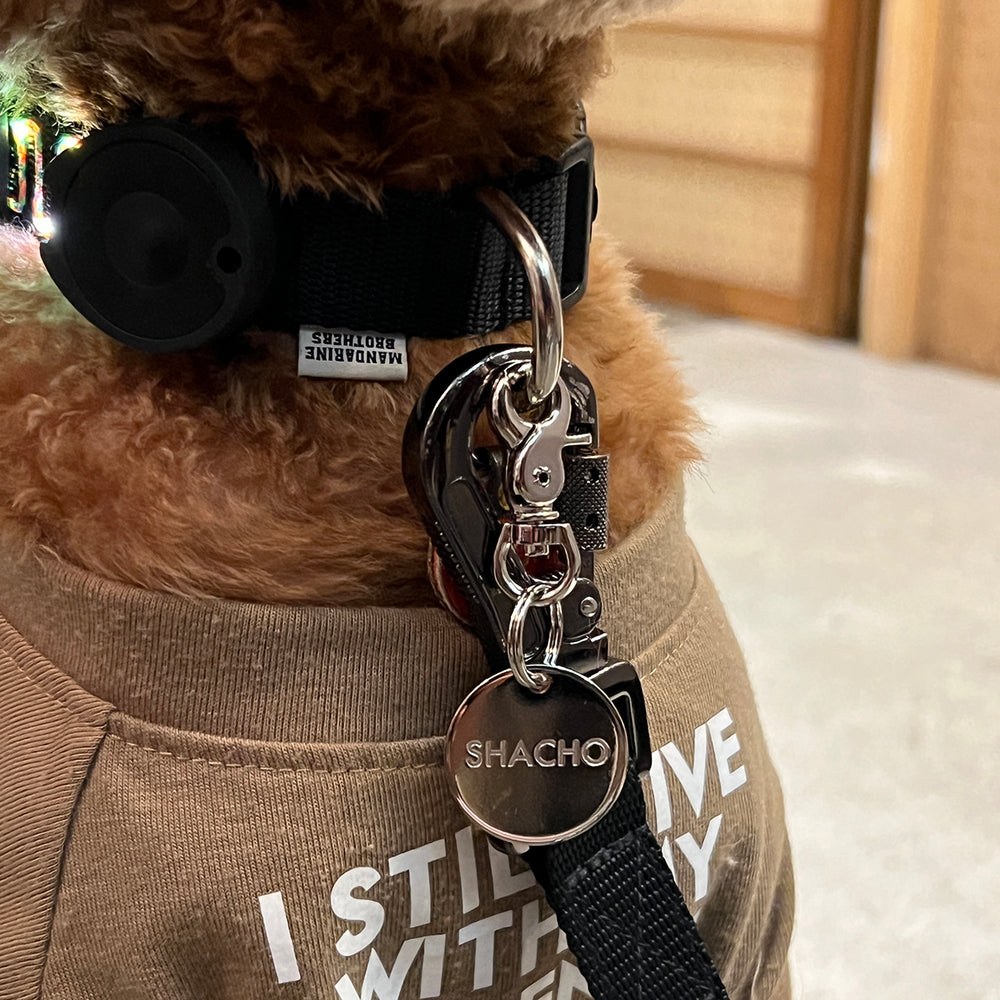 Mungo and&Maud uk 発モードなドックWearリード首輪セット
