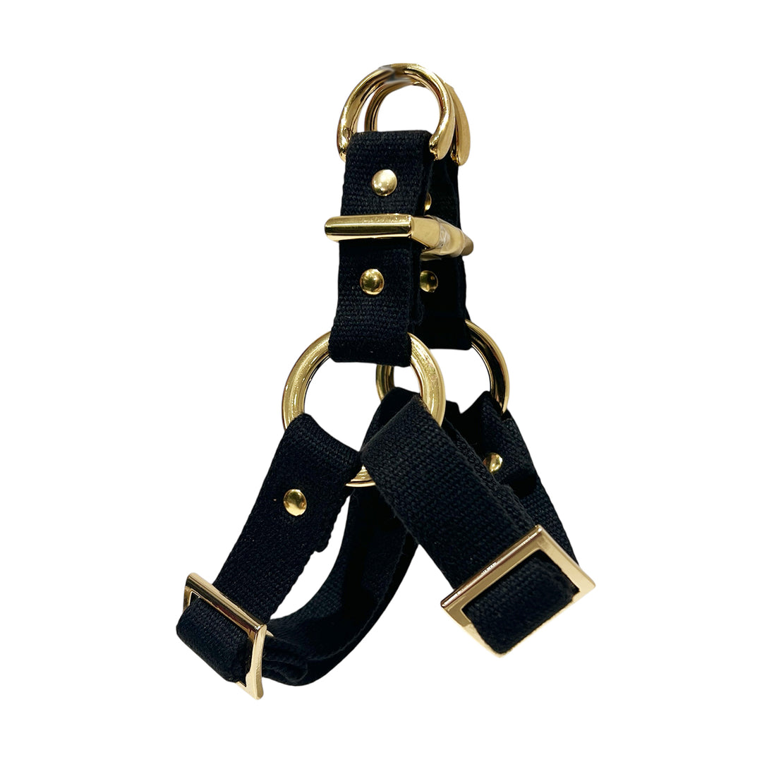 HARNESS – タグ